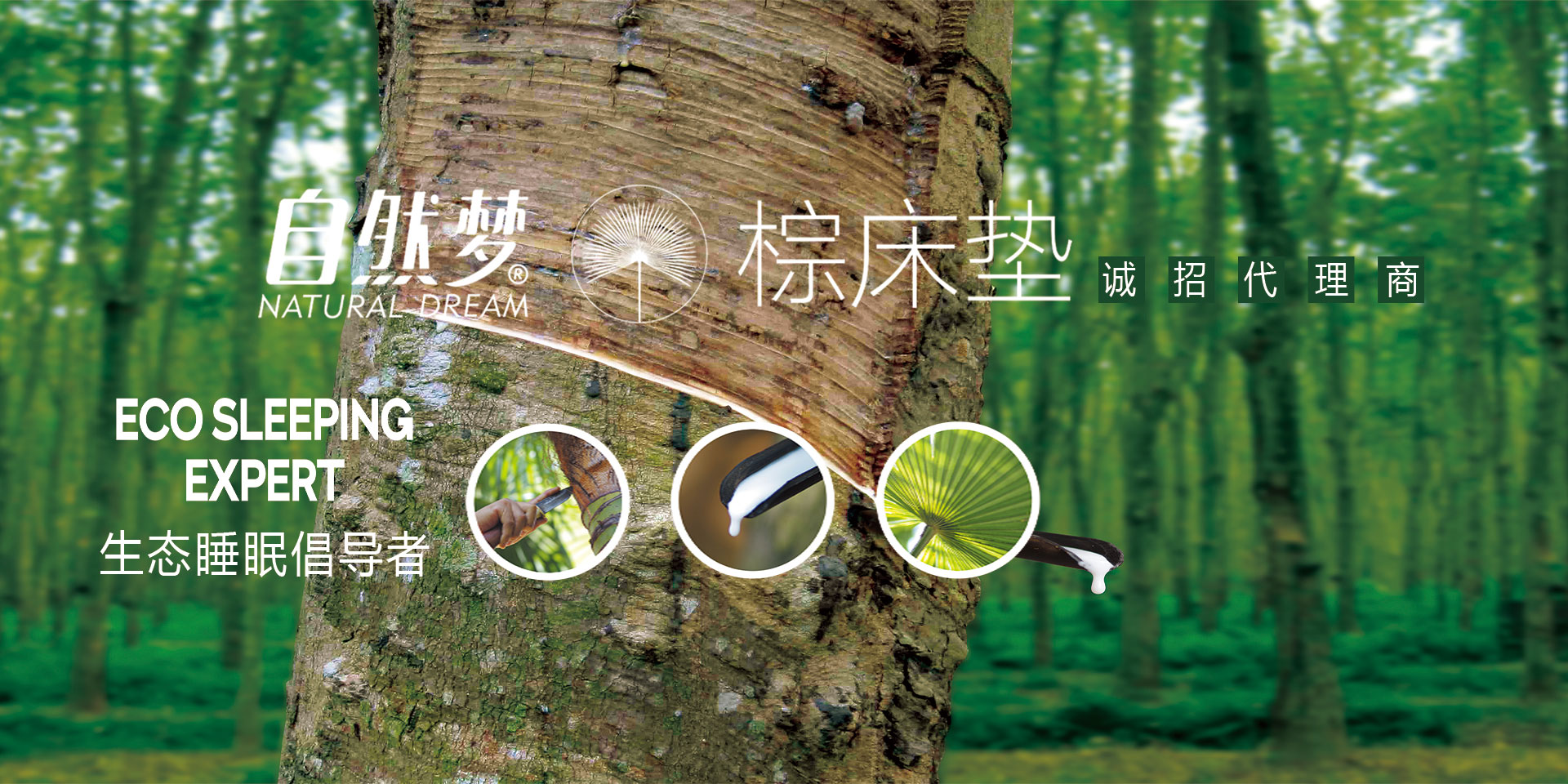 自然夢(mèng)